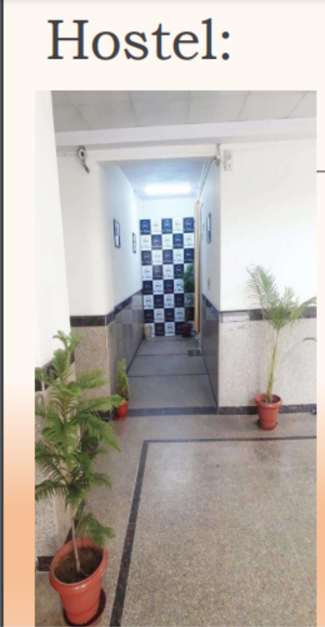 Social Club Activities 1 at Gn Group of institutes